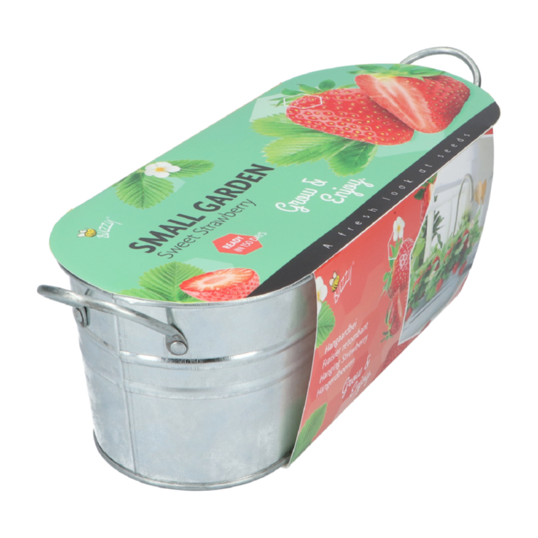Small Garden "Sweet Strawberry" (giftbox)