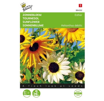 Buzzy® Buzzy® Helianthus, Zonnebloem Esther