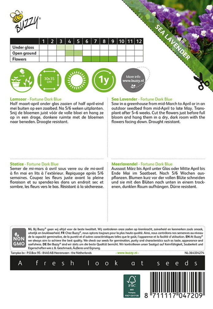 Buzzy® Limonium, Lamsoor Fortune Dark Blue