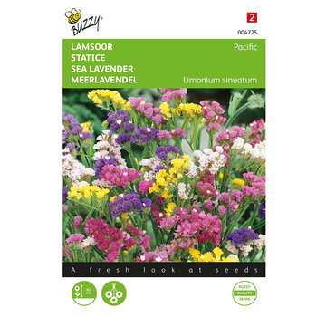 Buzzy® Buzzy® Limonium, Lamsoor Pacific gemengd