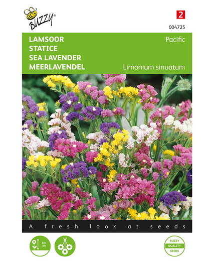 Buzzy® Buzzy® Limonium, Lamsoor Pacific gemengd