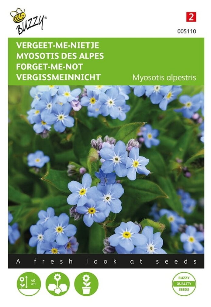 Buzzy® Myosotis, 'vergeet-me-nietje' blauw