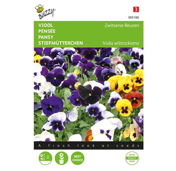 Buzzy® Buzzy® Viola, Viool Zwitserse Reuzen gemengd