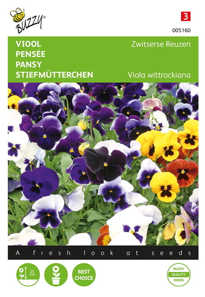 Buzzy® Viola, Viool Zwitserse Reuzen gemengd