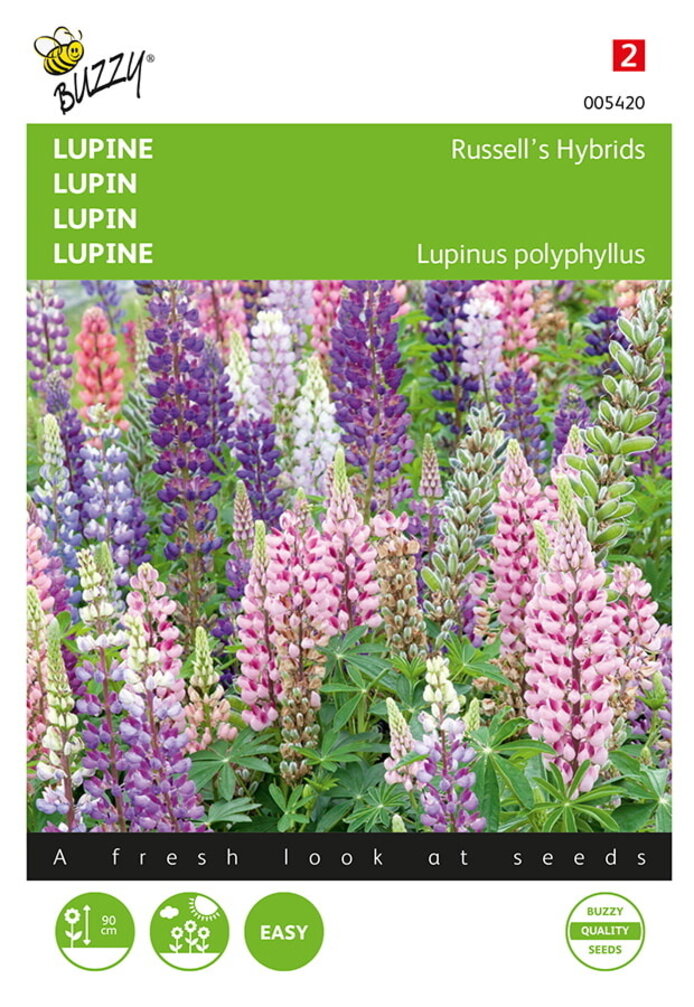 Buzzy® Lupinus, Lupine Russell's Hybrids gemengd