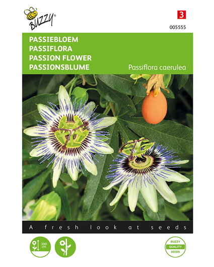 Buzzy® Buzzy® Passiflora, Passiebloem