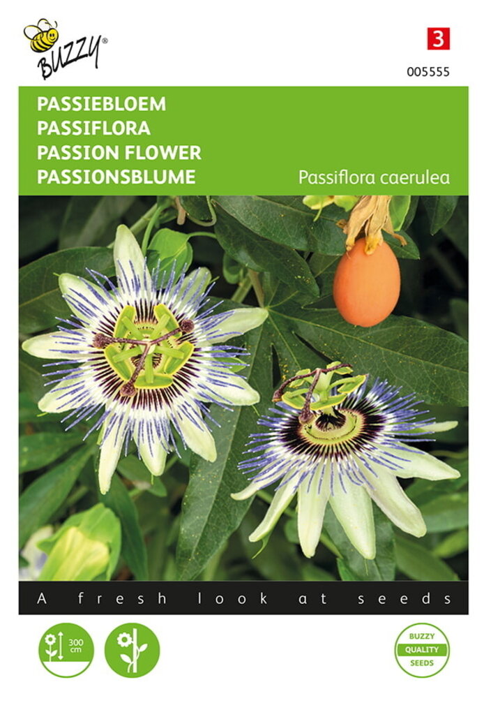 Buzzy® Passiflora, Passiebloem