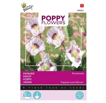 Buzzy® Buzzy® Poppy Flowers, Papaver Blauw maanzaad