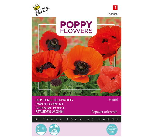 Buzzy® Buzzy® Poppy Flowers, Oosterse klaproos gemengd