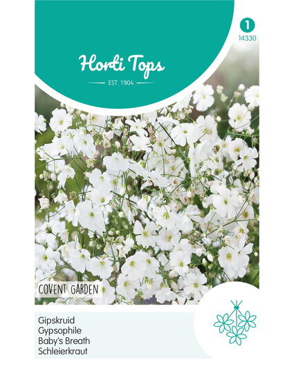 HT HT Gypsophila, Gipskruid Covent Garden wit