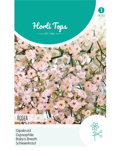 HT HT Gypsophila, Gipskruid Elegans Roze