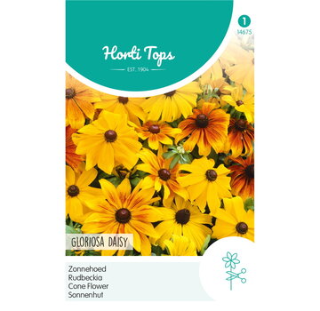 HT HT Rudbeckia, Zonnehoed Gloriosa Daisy gemengd