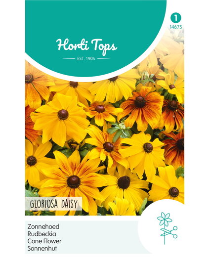 HT HT Rudbeckia, Zonnehoed Gloriosa Daisy gemengd