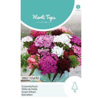HT HT Dianthus, Duizendschoon enkelbloemig gemengd