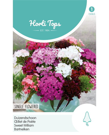 HT HT Dianthus, Duizendschoon enkelbloemig gemengd