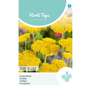 HT HT Achillea, Duizendblad Cloth Of Gold