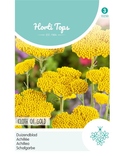 HT HT Achillea, Duizendblad Cloth Of Gold