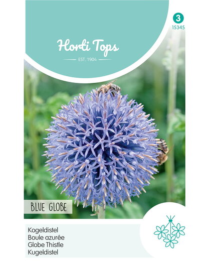 HT HT Echinops, Kogeldistel Blue Globe