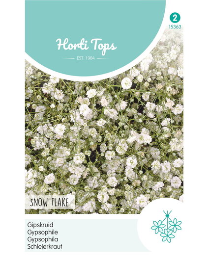 HT HT Gypsophila, Gipskruid Snow Flake dubbelbloemig wit