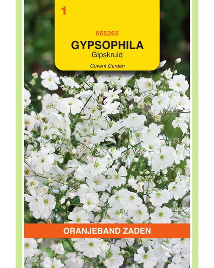 OBZ OBZ Gypsophila, Gipskruid Covent Garden