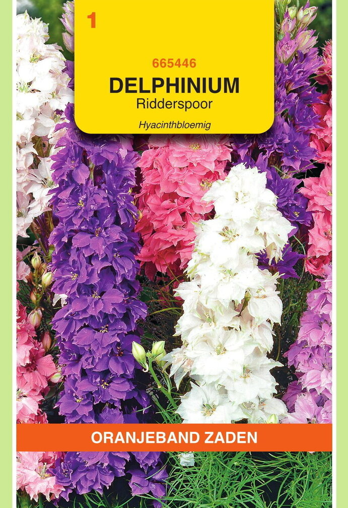 OBZ Delphinium, Ridderspoor Hyacinthbloemig gemengd