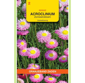 OBZ OBZ Acroclinium, Zonnestrobloem dubbelbloemig gemengd