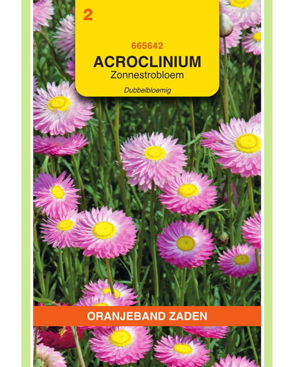 OBZ OBZ Acroclinium, Zonnestrobloem dubbelbloemig gemengd