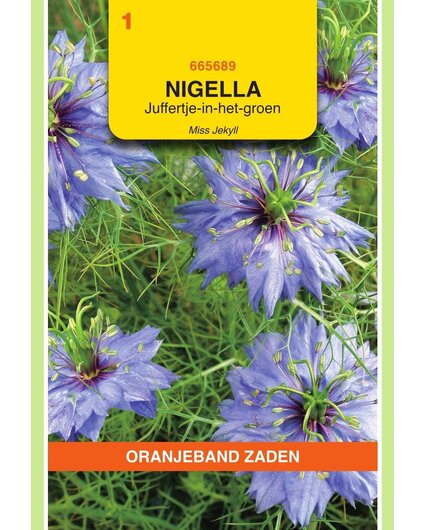 OBZ OBZ Nigella, Juffertje-in-het-groen Miss Jekyll