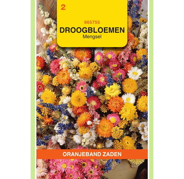 OBZ OBZ Droogbloemen mengsel