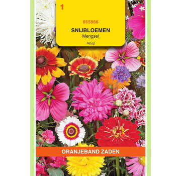 OBZ OBZ Snijbloemen mengsel