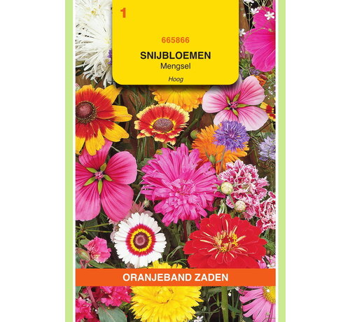 OBZ OBZ Snijbloemen mengsel