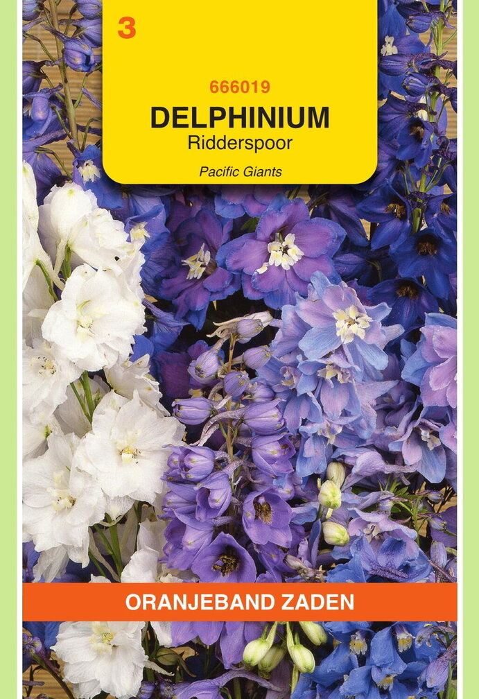 OBZ Delphinium, Ridderspoor Pacific Giants