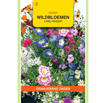 OBZ OBZ Wildbloemen mengsel eenjarig, laag