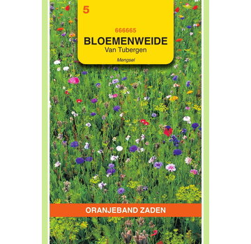 OBZ OBZ Van Tubergen bloemenweide mengsel