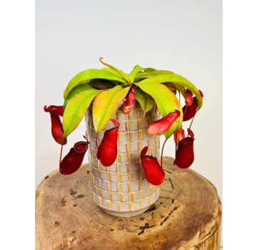 Plantenpot Jakob 'soft jade' | ⌀14x24cm