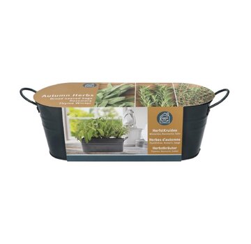 Buzzy® Small Garden "Autumn Herbs" (giftbox)