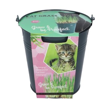 Buzzy® Buzzy® kattengras emmertje (giftbox)