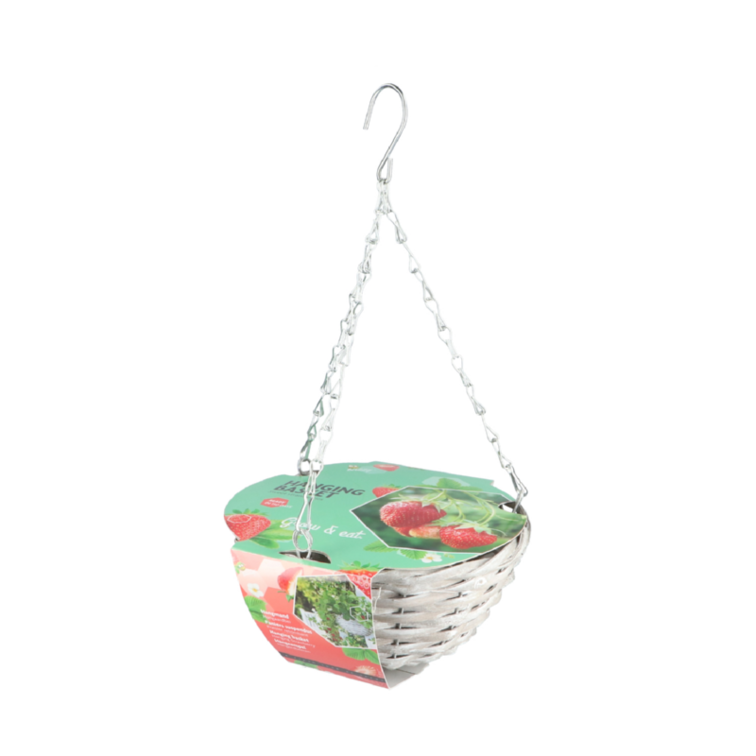 Buzzy® Hanging Basket "Strawberry" (giftbox)