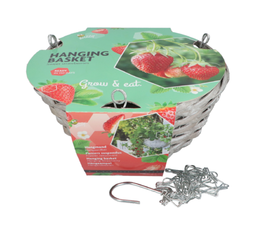 Buzzy® Buzzy® Hanging Basket "Strawberry" (giftbox)