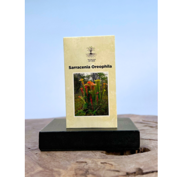 Trompetbekerplant "Sarracenia Oreophila" (30 zaadjes)
