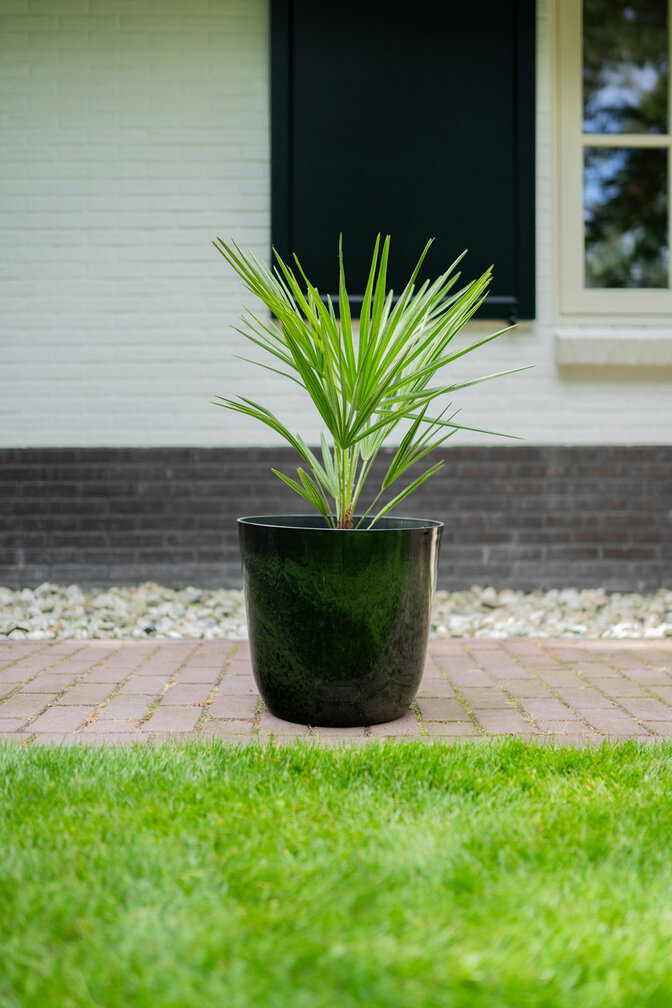 Moerasbak "Gerrit" marmer-groen | ø 35 cm