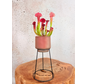 Bloempot op standaard "roze"