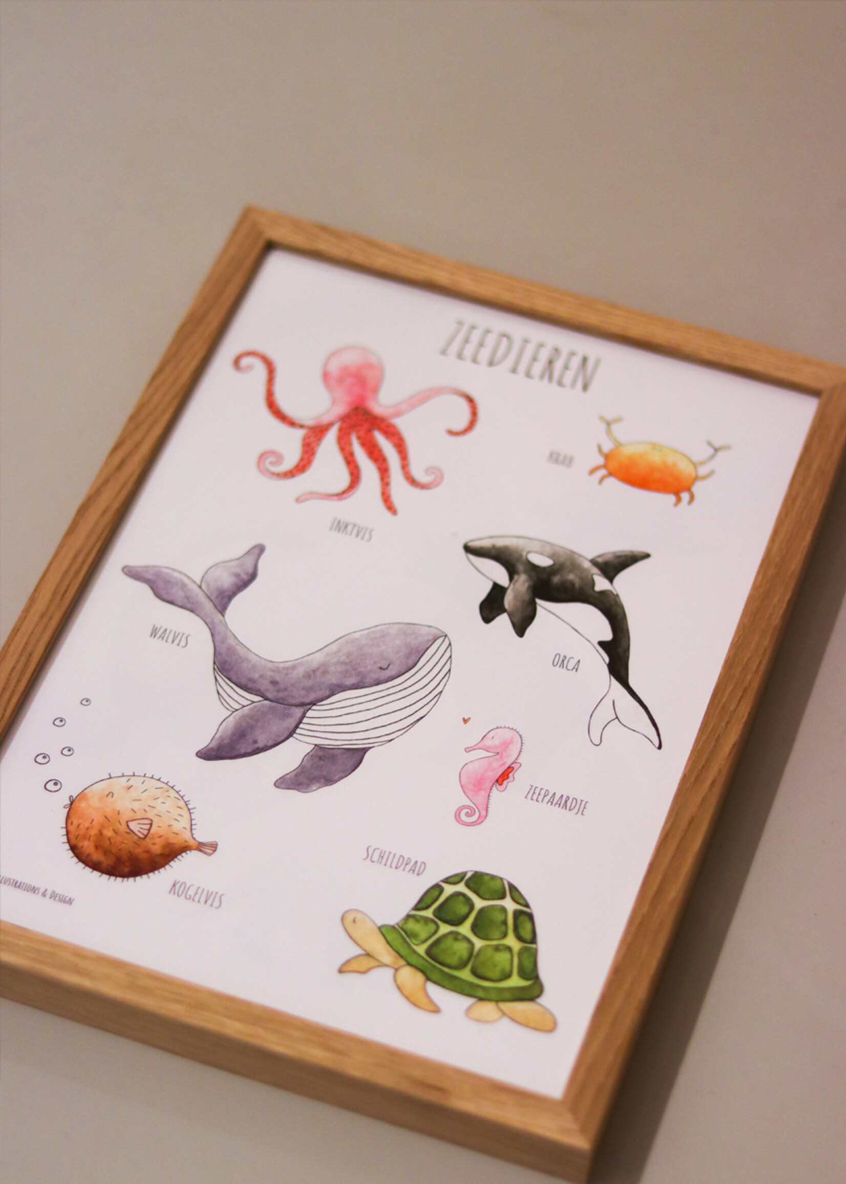 Juulz Juulz illustrations | Poster - Zeedieren - 30 x 40