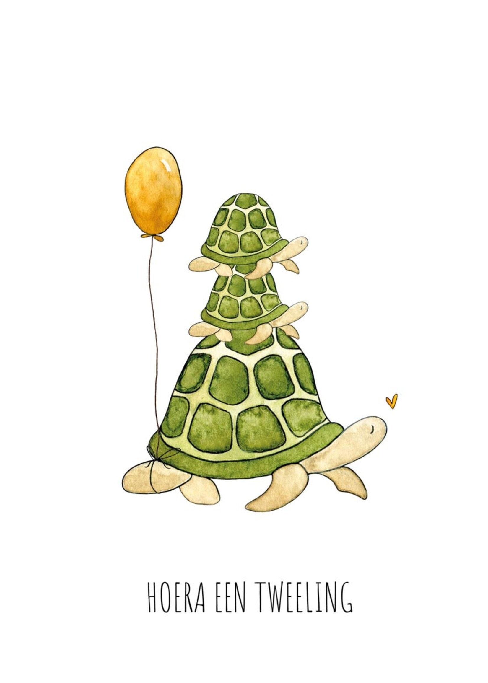 Juulz Juulz illustrations | Wenskaart A6 - Tweeling schildpad