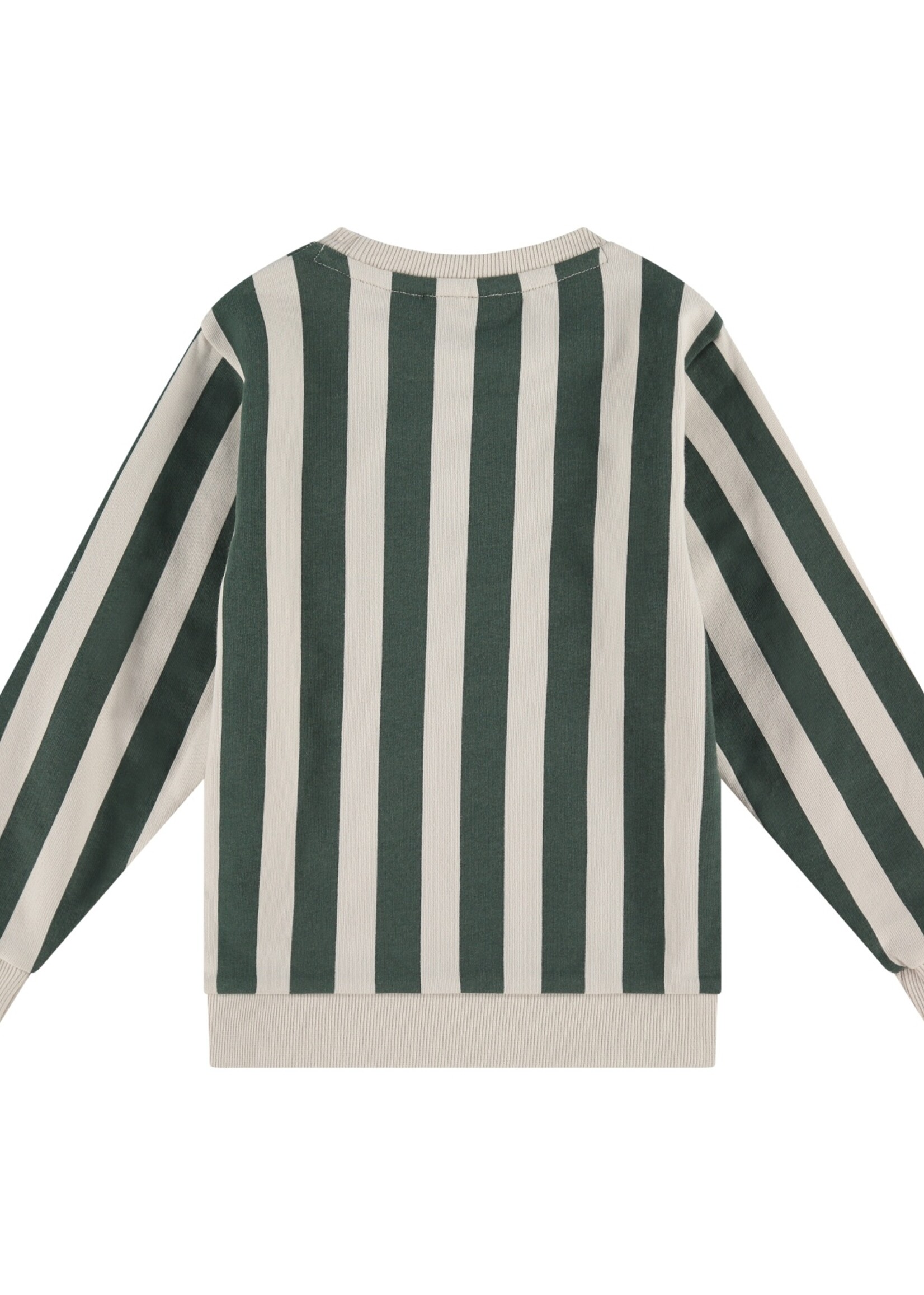 Stains & Stories Stains & Stories | boys sweatshirt - bottle