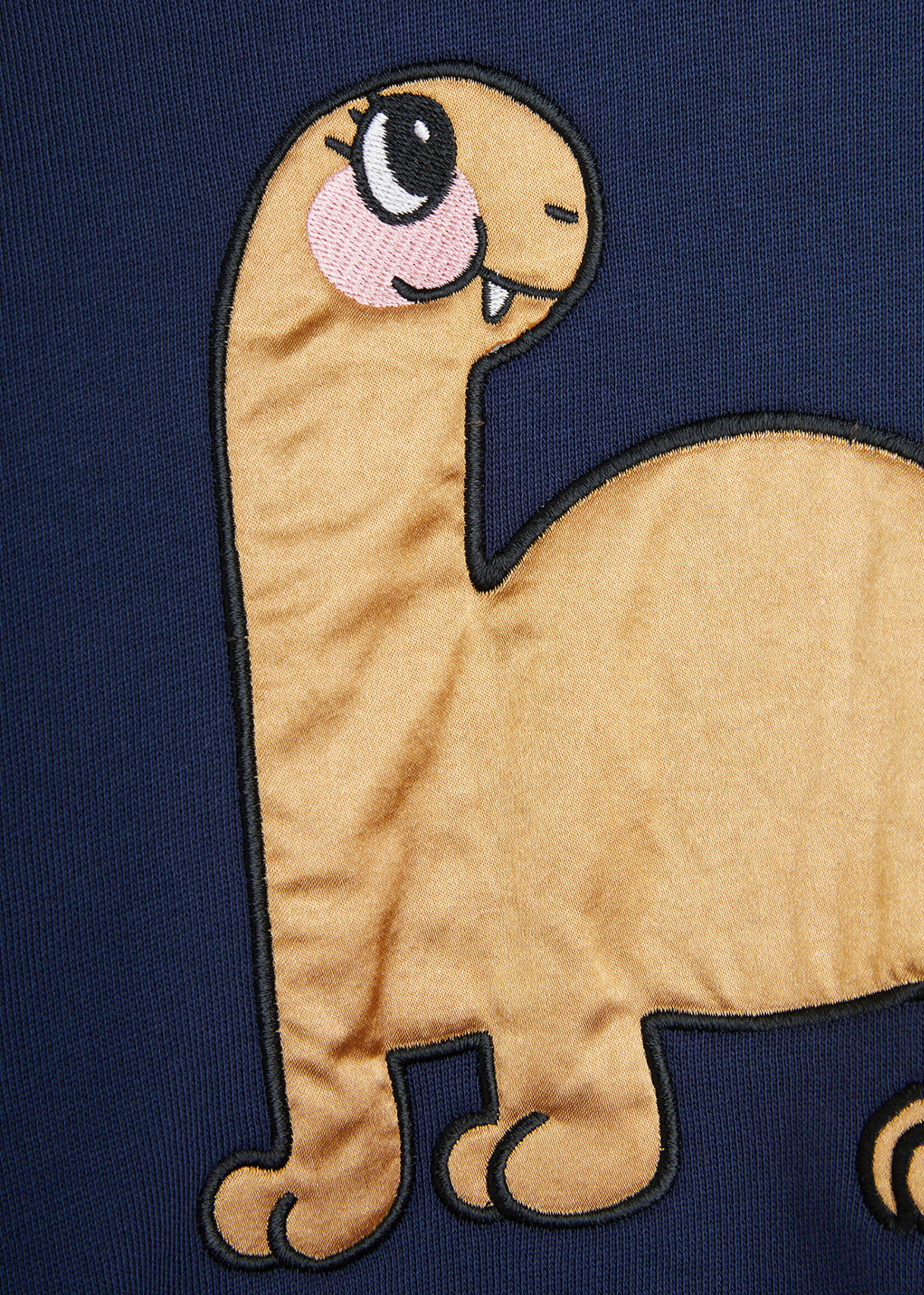 Mini Rodini MINI RODINI | Dino application sweatshirt