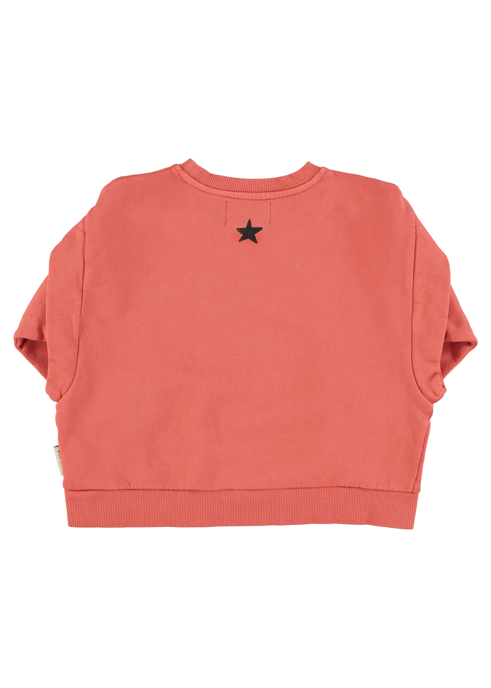 Piupiuchick Piupiuchick | Sweatshirt - Pink w. groupie print