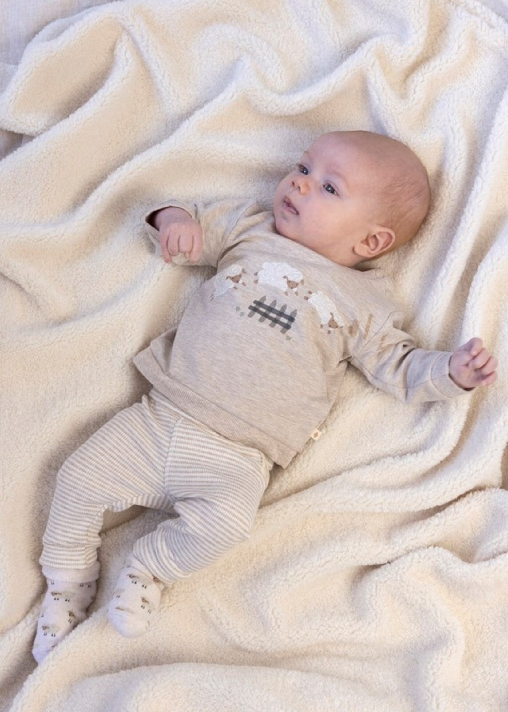 Feetje Feetje | Broek rib met streep - Sleepy Sheepy