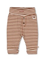 Feetje Feetje | Broek streep - Wild World