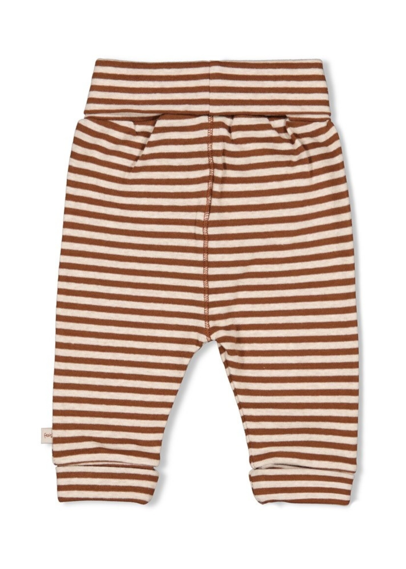 Feetje Feetje | Broek streep - Wild World